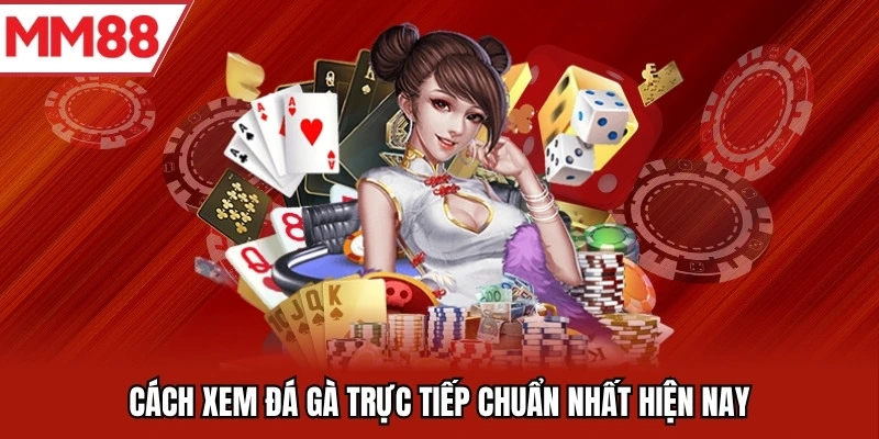 Cách xem đá gà trực tiếp chuẩn nhất hiện nay